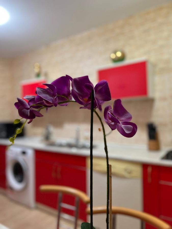 Noreea Central Apartment Timisoara Exterior photo